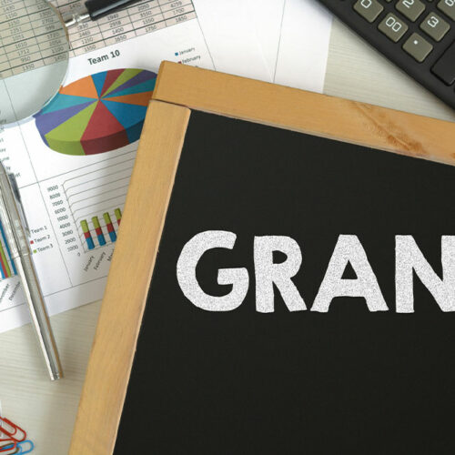 Government grants – What are they and who is eligible