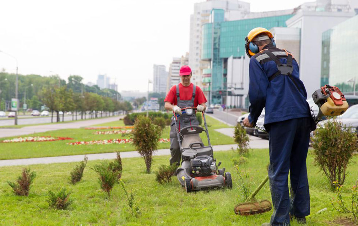 Electric or gas trimmers – Which is the best buy