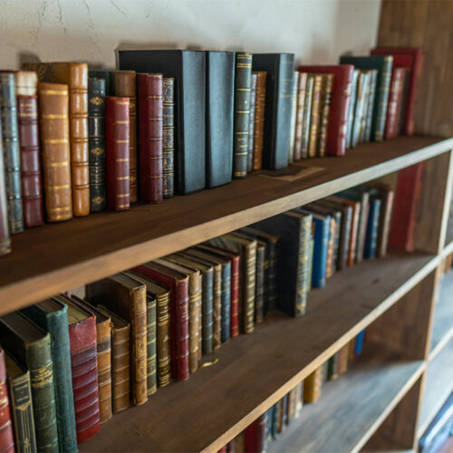 Library Science – Degrees, Cost, and Job Opportunities