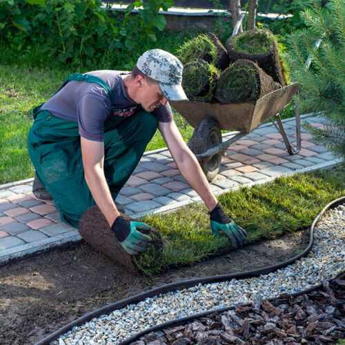 Landscaping Services – Types, Benefits, and Tips to Consider
