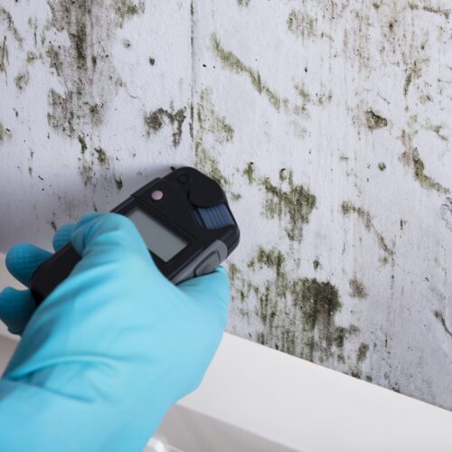 Home Tests for Mold: A Comprehensive Guide to Ensuring a Safe Living Environment